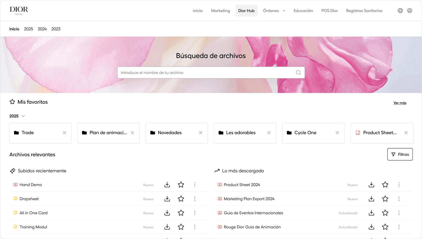 New Dior LatAm repository interface